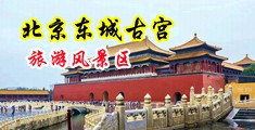 帅哥把巨美的骚穴操出白桨66m中国北京-东城古宫旅游风景区